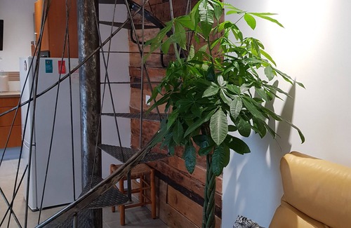 Allauch House | Charming fully renovated house rated 3 stars by PROVENCE TOURISME