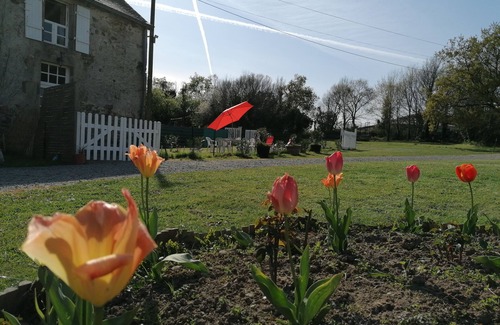 Ambon House | Charming gite between land and sea,