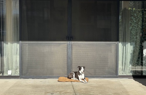 Covenant House | Charming Guesthouse on Beautiful Property