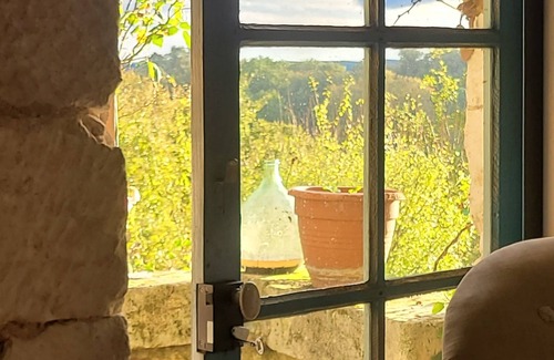 Siorac-de-Riberac House | CHARMING HOUSE WITH SWIMMING POOL, IN THE HEART OF NATURE