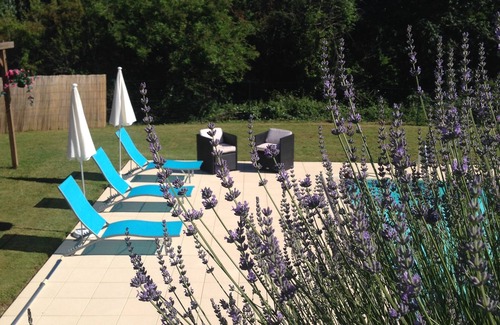 Paulin House | Charming house, and its huge private heated swimming pool, near Sarlat