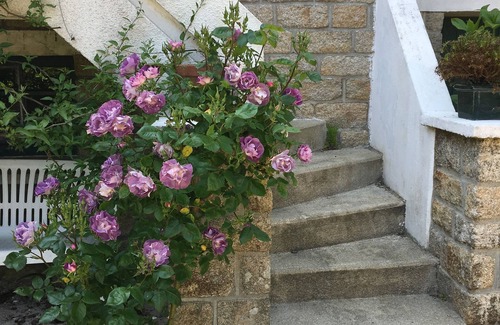 Ile-Tudy House | Charming house classified furnished with Tourism 3 stars