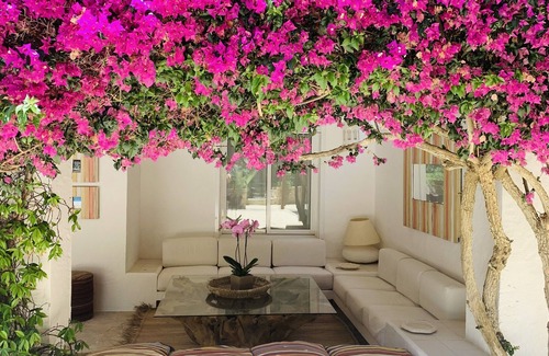 Can Furnet House | Charming house in Ibiza, near the beach