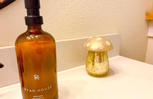 Spring House | Charming House18 min IAH-TheWoodlands