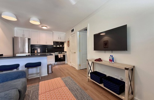Auburn Condo | Charming, Newly Renovated Samford Ave. Condo in Downtown Auburn!