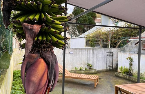 Angra do Heroismo Apartment | Charming & Peaceful T3 with Private Garden -walking distance to the beach*
