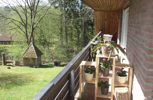 Schmilau Apartment | Charming, spacious vacation apartment in the middle of the forest on Ratzeburger Küchensee