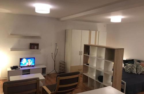 Arad Apartment | Charming Studio 10, Villa Veronica, City central