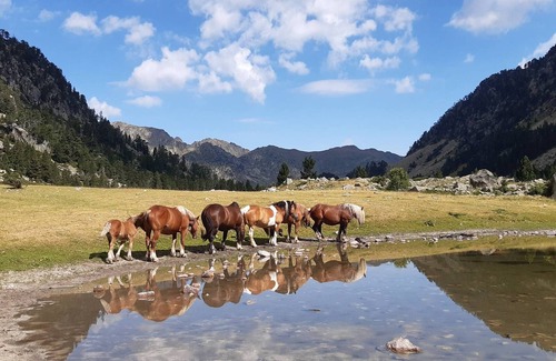 Cauterets Apartment | Charming Studio, 4 Sleepers, Central Location, Cauterets, Free Parking, Modern Amenities