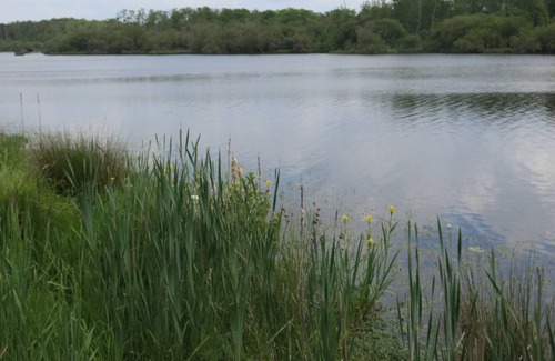 Gastes Villa | Charming villa between the Landes forest and the ocean