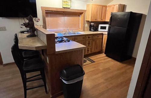 Almont Cabin | Charming "Vintage" Style Mountain Cabin Under the Pines