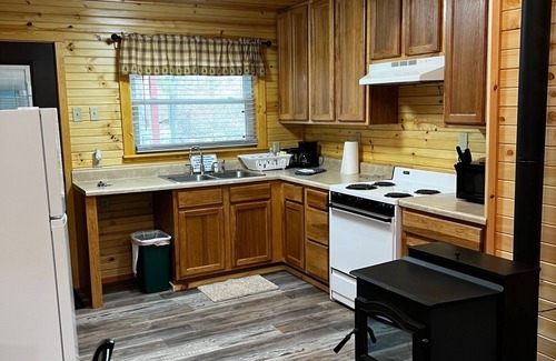 Elkins Cabin | Charming Yet Wild Cozy Retro Cabin Hot Tub, Sunroom, Fire Pit & Trout! Hiking!