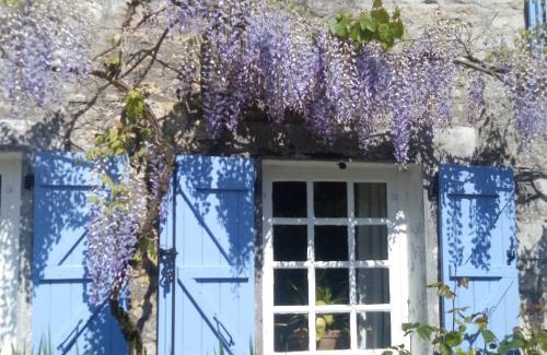 Genouille Bed & Breakfast | Chat Noir Gite et Chambre D'Hotes