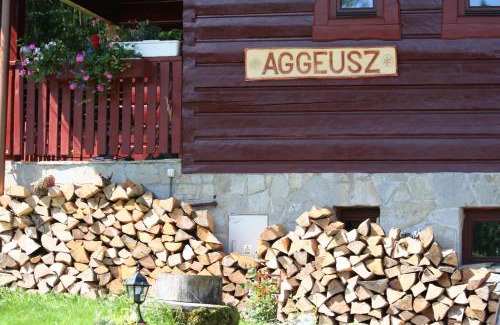 Wisla House | Chata Góralska Aggeusz