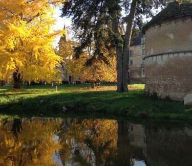 Bresse-sur-Grosne Bed & Breakfast | Chateau de Bresse sur Grosne