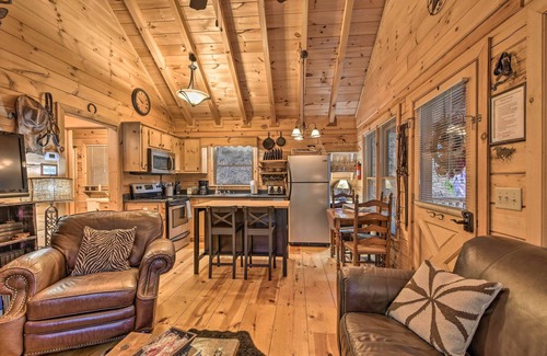 Cherry Log Cabin | Cherry Log Cabin: 10 Min to Ellijay/Blue Ridge!