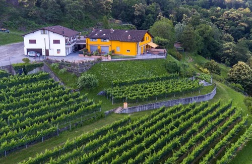 Giubiasco Apartment | Chestnut apartment surrounded by greenery