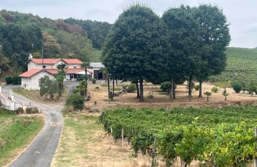 Cannet Bed & Breakfast | Chez Anidé