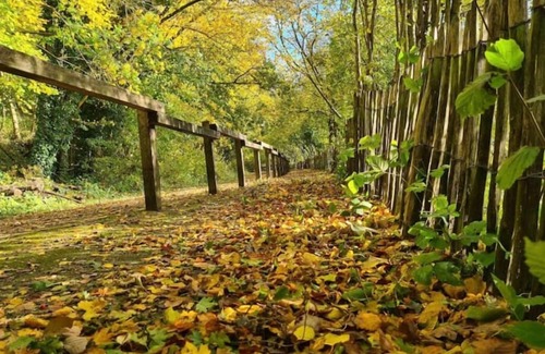 Elnes House | Chez Balthazar