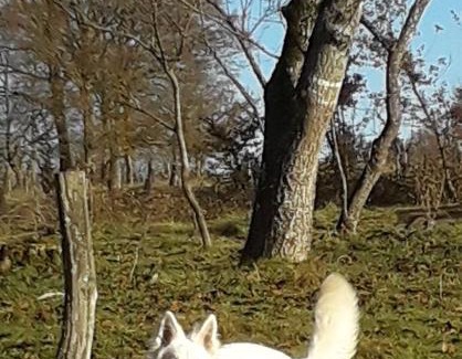 Bertrambois House | Chez Céline