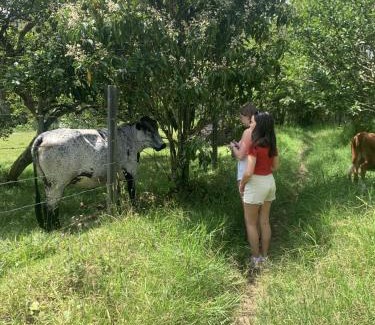 Salento Bed & Breakfast | chez yannick Hospedaje Los Amigos