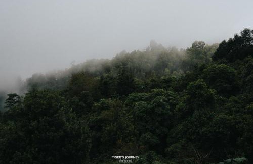 Chiang Rai Province House | Chi Bo ดอยช้าง