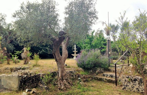 Maglie House | CHIARA ALBA