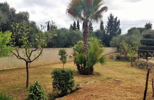 Maglie House | CHIARA ALBA