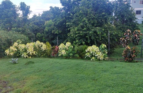 Canefield Apartment | Chic Comfort in Morne Daniel