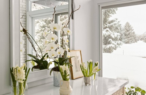 Aspen House | Chic Designer Home on Golf Course. Minutes from Ajax, Highlands and Buttermilk