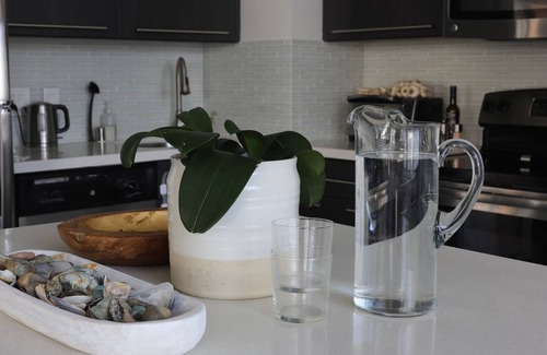 Historic Core Apartment | Chic Sanctuary in the Heart of Downtown