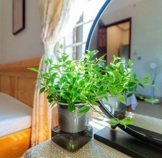 Co To Hotel | Chichi Inn Hotel CoTo