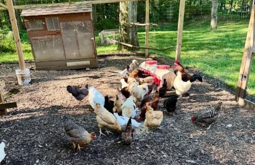 Redding Ridge House | Chickens On-Site Cottage, 2 Mi to Saugatuck Falls