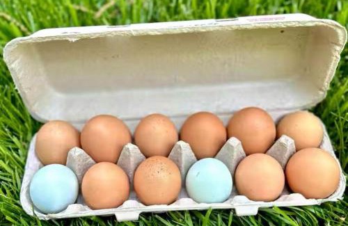 Redding Ridge House | Chickens On-Site Cottage, 2 Mi to Saugatuck Falls