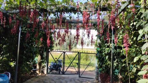 Salem Hotel | Cholai Resorts & Hotels