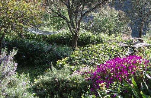 Vallecalle Bed & Breakfast | Cicendolle