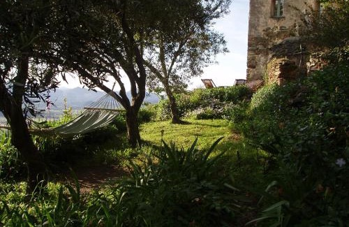 Vallecalle Bed & Breakfast | Cicendolle