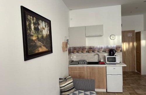 Brodnica Apartment | Cichy Zaułek 9