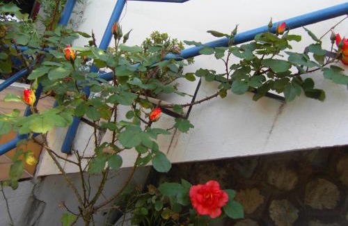 Saint-Martin Apartment | Cielito Lindo