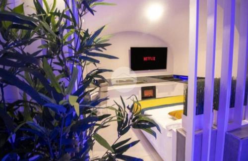 Vomero Apartment | Cifariello Suite
