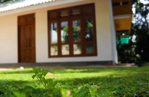 Hikkaduwa Villa | Cinnamon Eco Villa 1