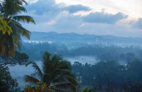 Bope-Poddala House | Cinnamon View