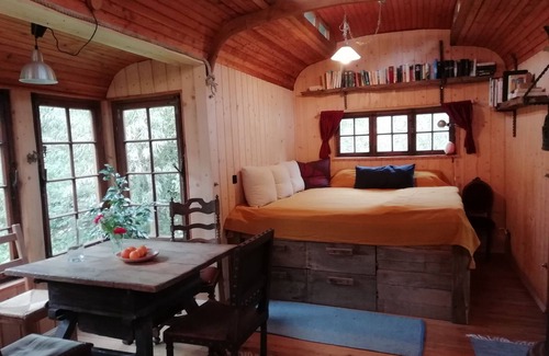 Alzenbach Cabin | Circus wagon star tent with sauna. Very spacious with pavilion.