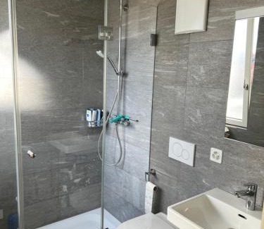 Basel City Centre Apartment | City Center Rooftop Balcony-Studio at town hall