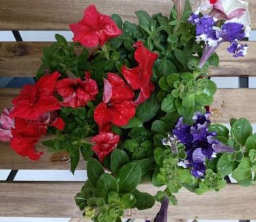 Braga Apartment | City Center Studio -Braga