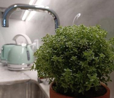 Braga Apartment | City Center Studio -Braga