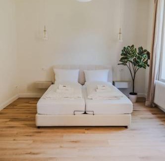 Oststadt/Stadtfeld Apartment | City Suite Philosophenviertel - stylish & central