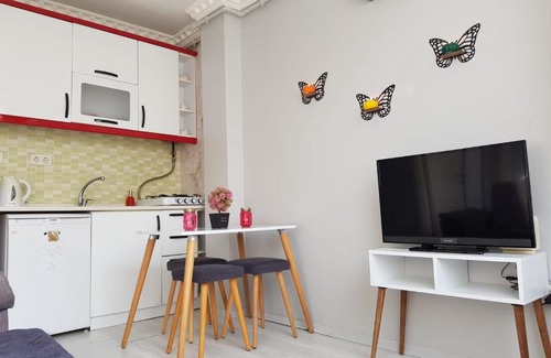 Tophane Apartment | City View Apartment in Galataport