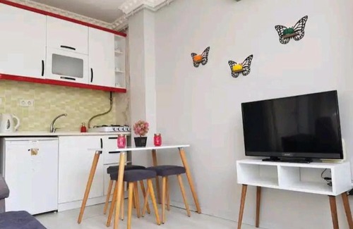 Tophane Apartment | City View Apartment in Galataport