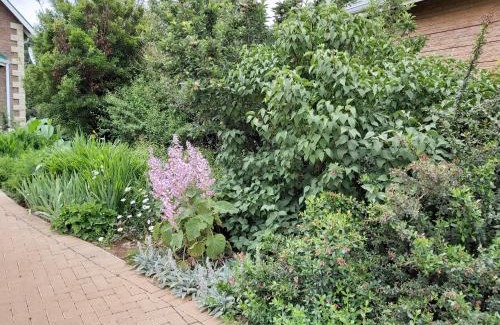 Clarens Villa | Clarens Mountain Sage Holiday House